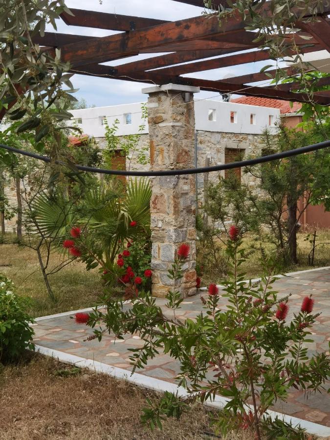 Elea Stone Houses in organic quiet olive grove, Prinos, Thassos Exterior foto