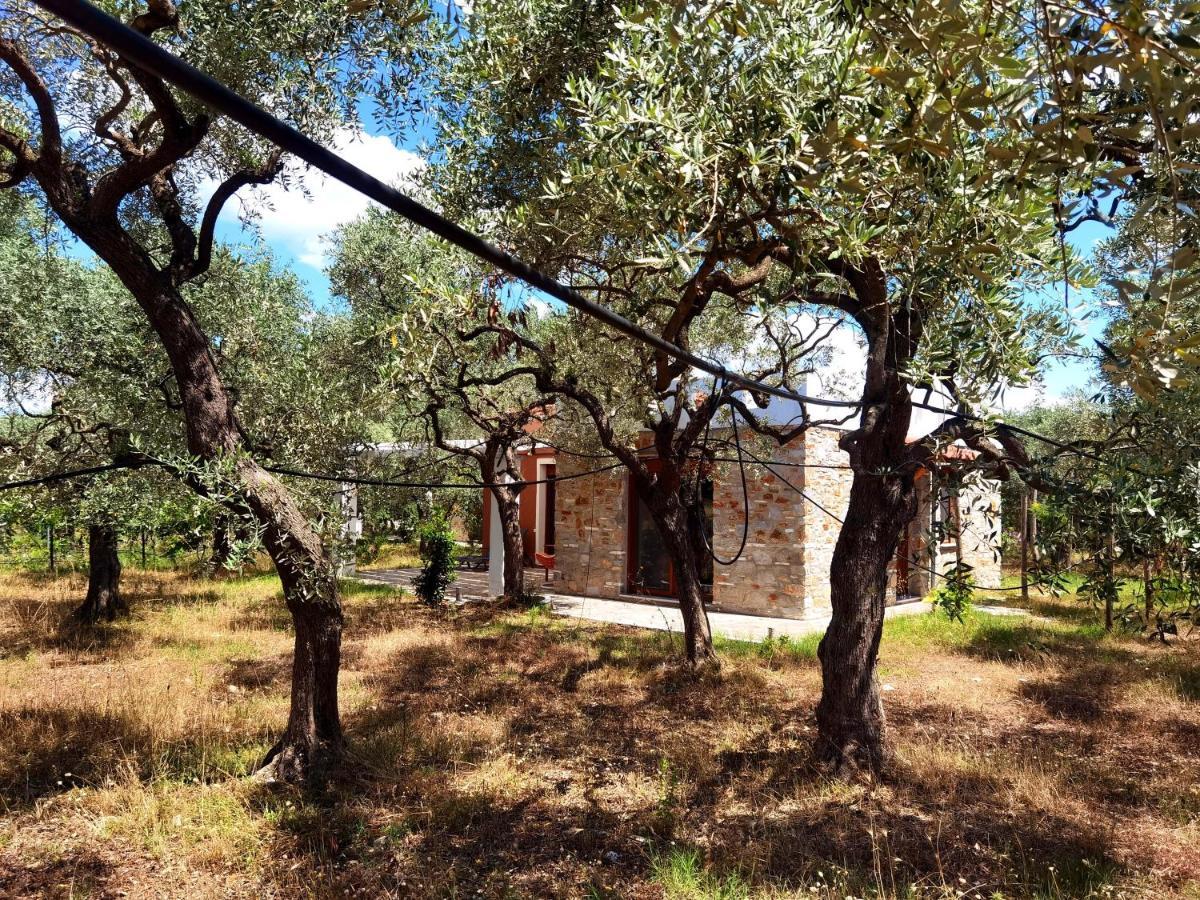 Elea Stone Houses in organic quiet olive grove, Prinos, Thassos Exterior foto